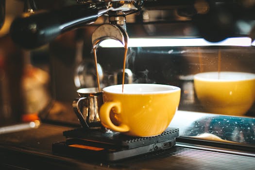 The Cream of the Crop? Unpacking Intermittent Fasting Cream in Coffee