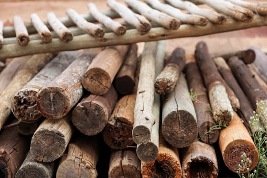 Decoding the DNA of Modern Structures: What Truly Defines Koser Building Materials?